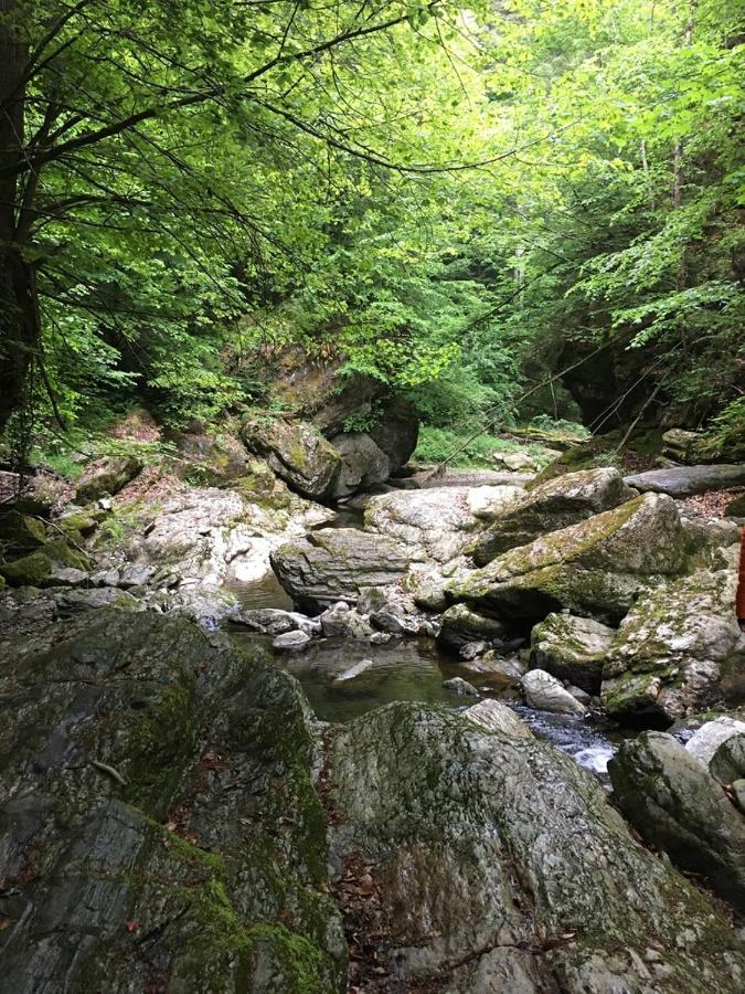 Ferienwohnung Raabklamm Arzberg ภายนอก รูปภาพ